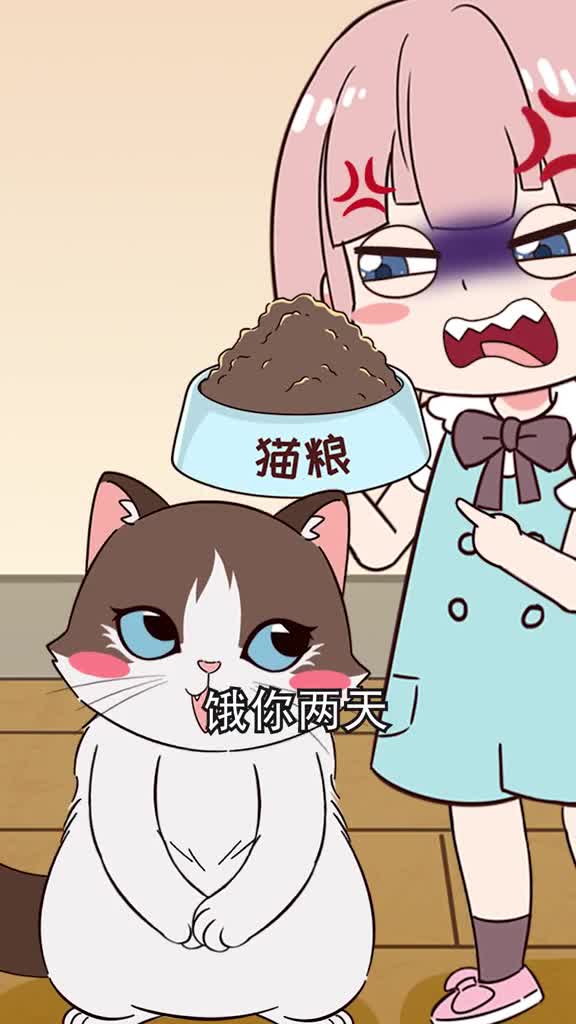 猫咪挑食怎么办千万别用饿两天来纠正教你几招轻松搞定
