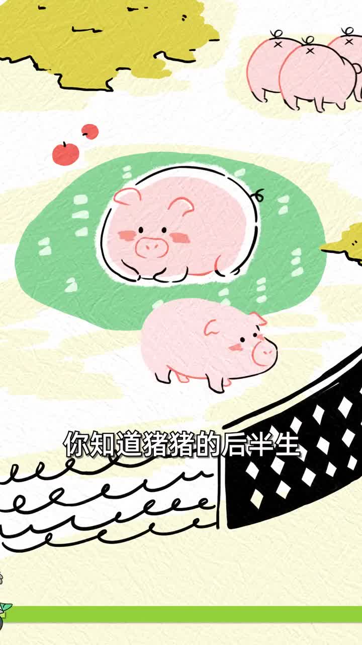 一只猪要考过哪些证才有资格进入菜市场抖音青少年