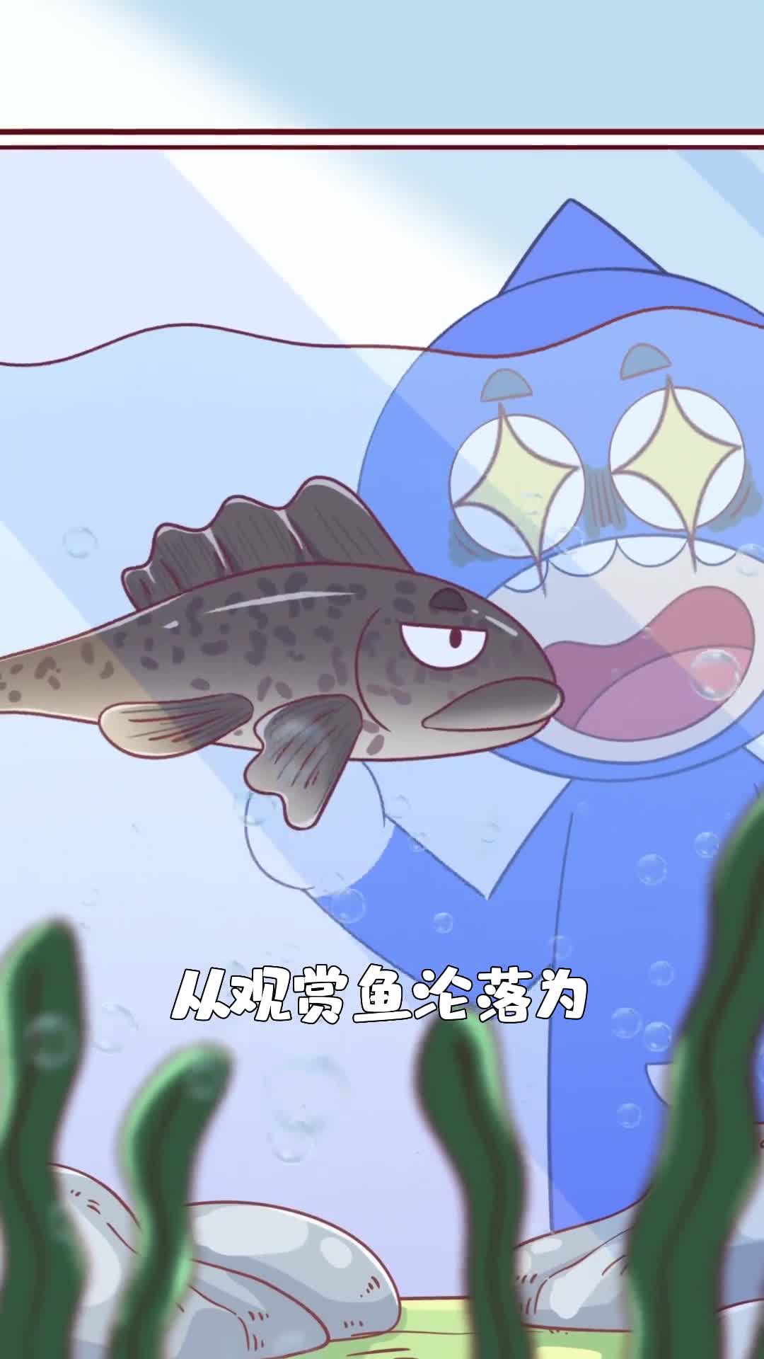 从观赏鱼沦落为危险物种清道夫为何晚节不保