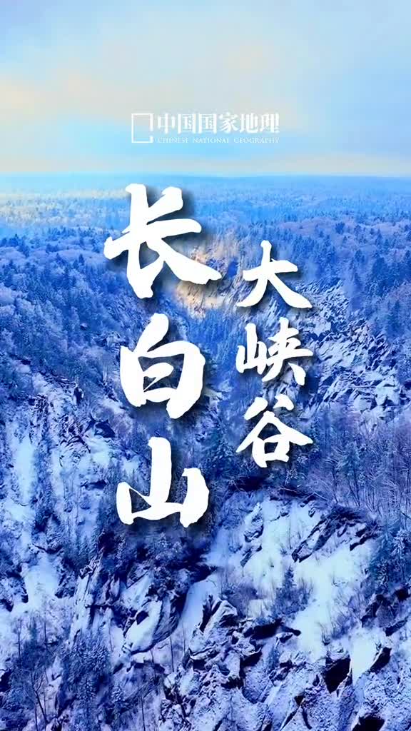 长白山大峡谷是长白山西坡的一大景观被誉为火山天然熔岩盆景园
