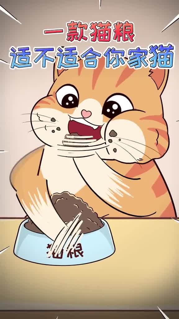 如何判断一款猫粮适不适合你家猫主要看这几个身体表现哦