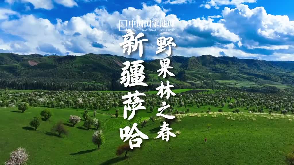 山野浪漫是藏在心底的温柔这里是位于新疆伊犁的萨哈野苹果是伊犁河谷野果林的主要组成树种之一春日融融时漫山遍野的果树开花一派天真浪漫随漫步的牛羊一起感受新疆最美的复苏吧