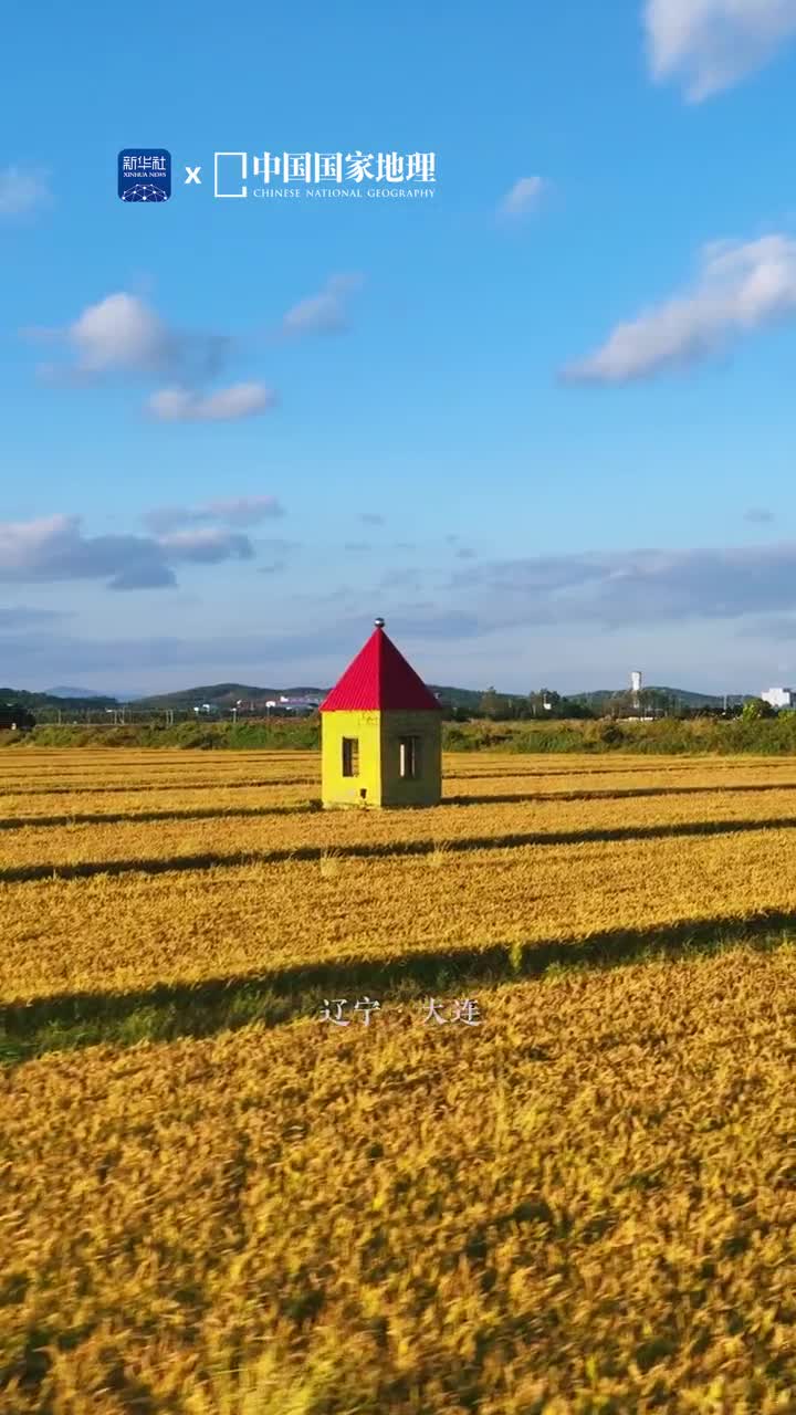 有一种幸福叫五谷丰登金秋的稻田舞动千层浪在阳光的照耀下诉说大地的丰饶沉甸甸的满足感暖洋洋的幸福感在秋高气爽的季节弥漫开来酝酿起生命的诗篇如果要形容置身其间的感受大概就是踏实与安心