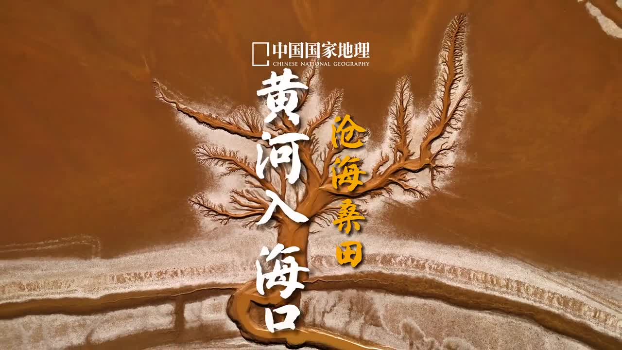 黄河之水天上来奔流到海不复回