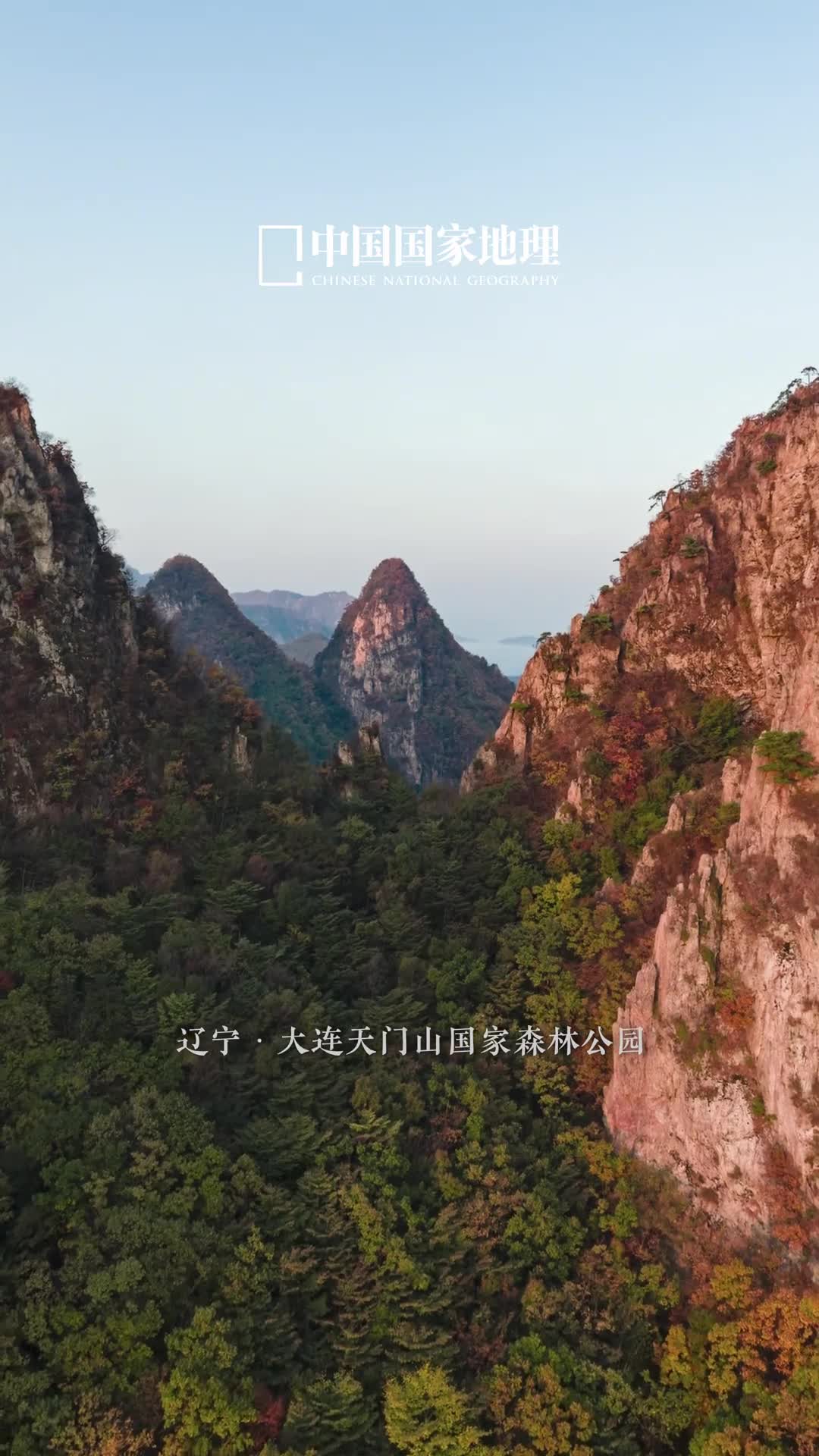 彩林和彩虹的双重惊艳辽宁大连