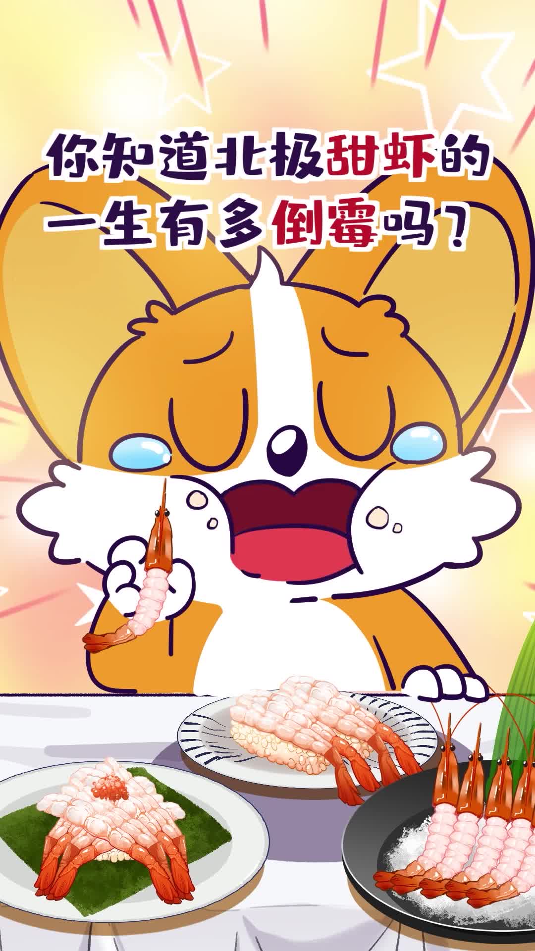 你知道北极甜虾的一生有多倒霉吗
