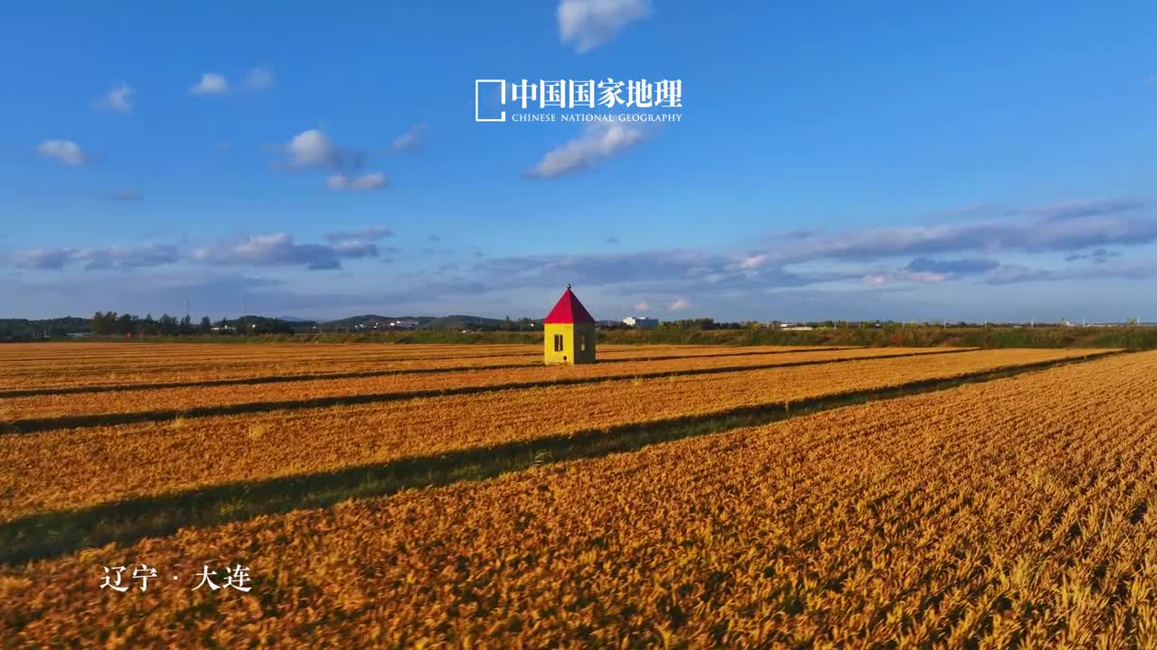 金色稻田是具像化的幸福在辽宁大连的沃土之上稻谷沾染了阳光的金黄缓缓讲述岁月酝酿的美好诗章儿时记忆中的稻香也被秋风再次吹起那是可以反复治愈我们的神奇配方