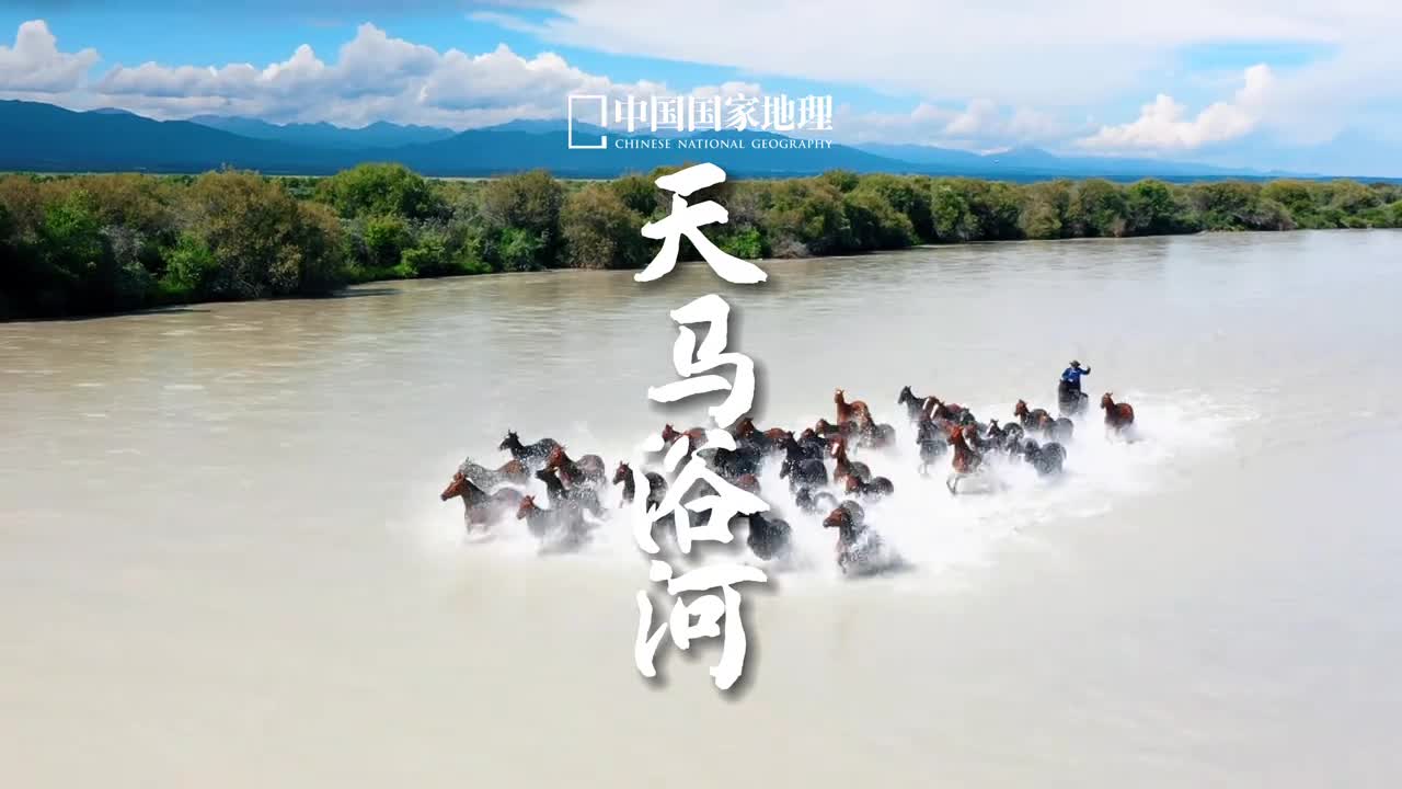这里是中国天马之乡新疆伊犁的昭苏县新疆自古盛产良马伊犁马尤其俊美体格高大头颈高昂和地理君一起欣赏天马浴河的壮观场面愿我们都能自由不羁勇毅前行