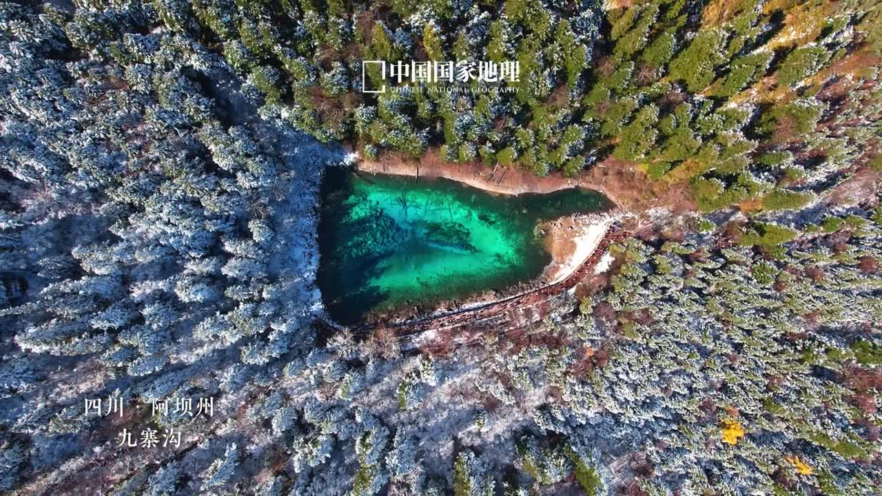 有一种美叫雪落九寨秋末冬初位于四川省阿坝州的九寨沟迎来了纷扬的大雪皑皑白雪覆盖在层叠峰峦之上玉树琼花满目雪白天地间一片素净大自然用落雪谱写浪漫诗篇