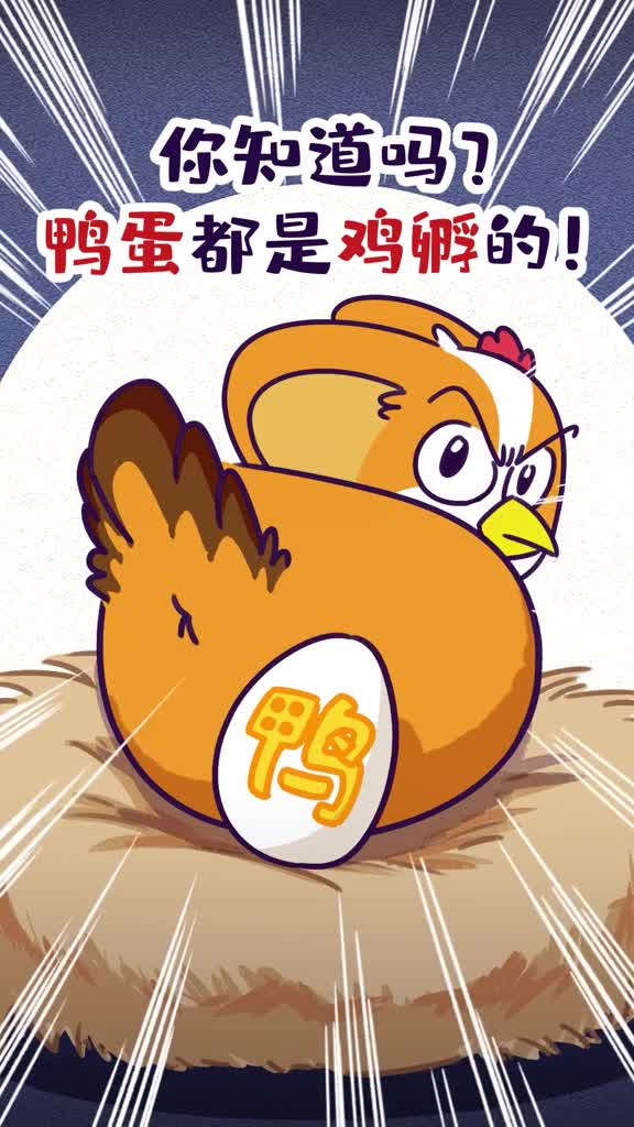 你知道吗鸭蛋都是鸡孵的
