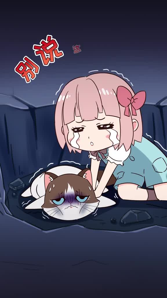 买猫时千万别说这5句话当心钱猫两空