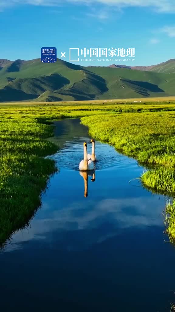 端午小长假休闲放松好时光这里是新疆巴州的巴音布鲁克四周环绕的高山如众星拱月般将这片大草原托起在冰雪融水的滋养下蜿蜒曲折的河流如银色的飘带散落在水丰草美的草原上万物生灵悠然自得
