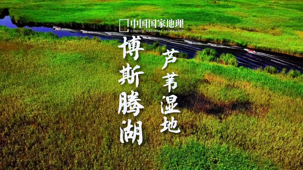 每天都惦记着分享给大家一些小美好今天有些晚了但也是迟来的爱