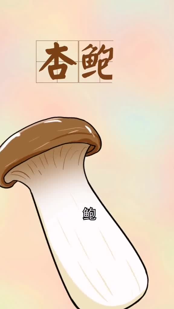 杏仁的香味鲍鱼的口感杏鲍菇