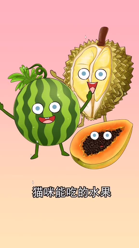 猫咪能吃的几种水果适当吃对猫咪有好处