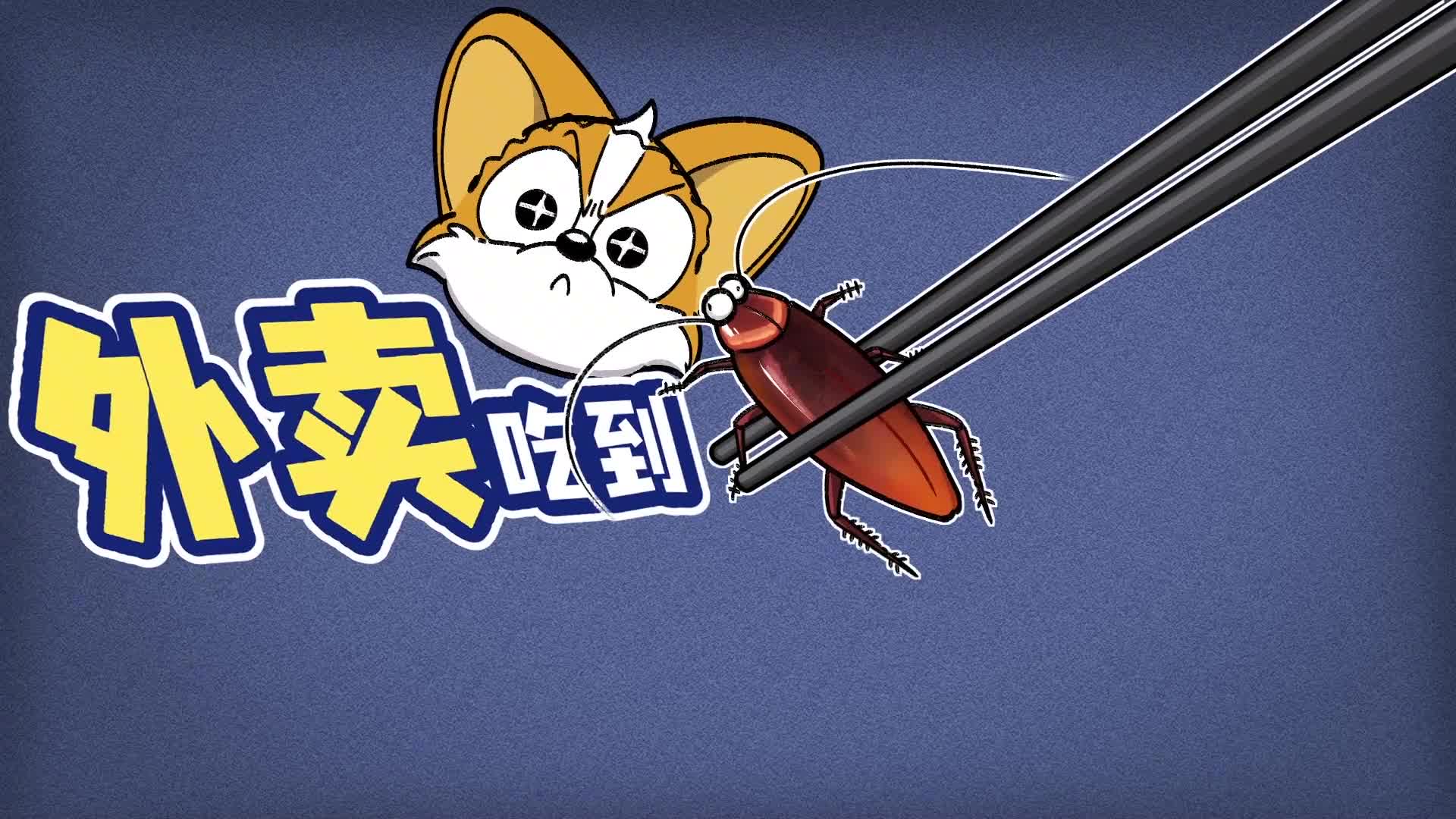 外卖吃出蟑螂千万别扔能换1000块