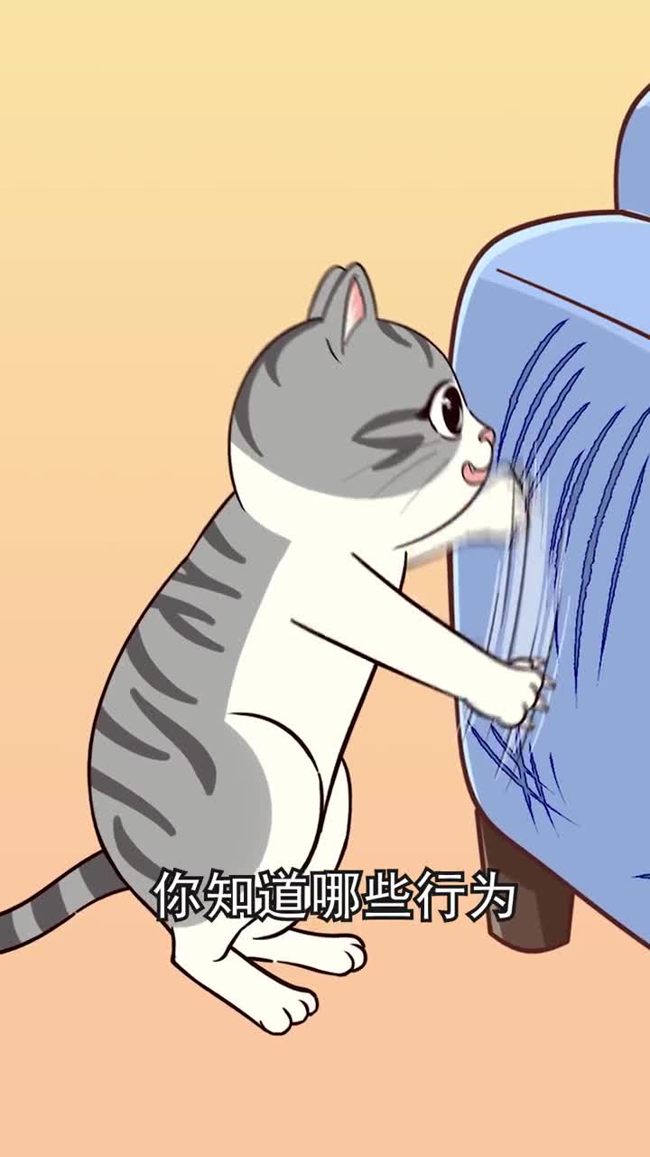猫咪保留至今的这几个原始本能你家猫有没有呢