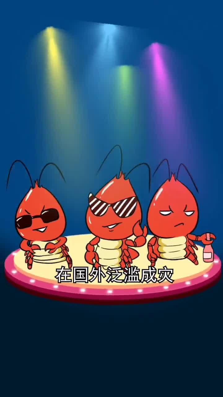 洋姜又一入侵失败的美味佳肴