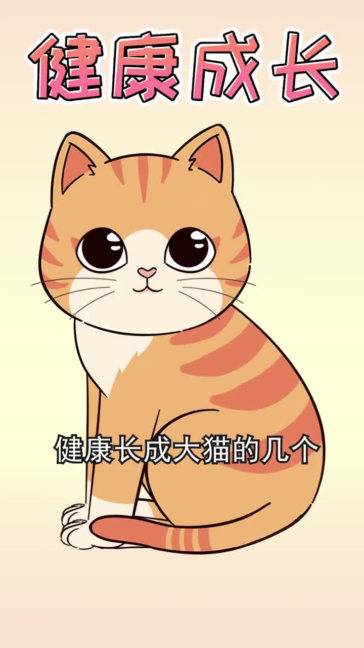 想让小猫健康长成大猫这几个关键阶段不能忽视