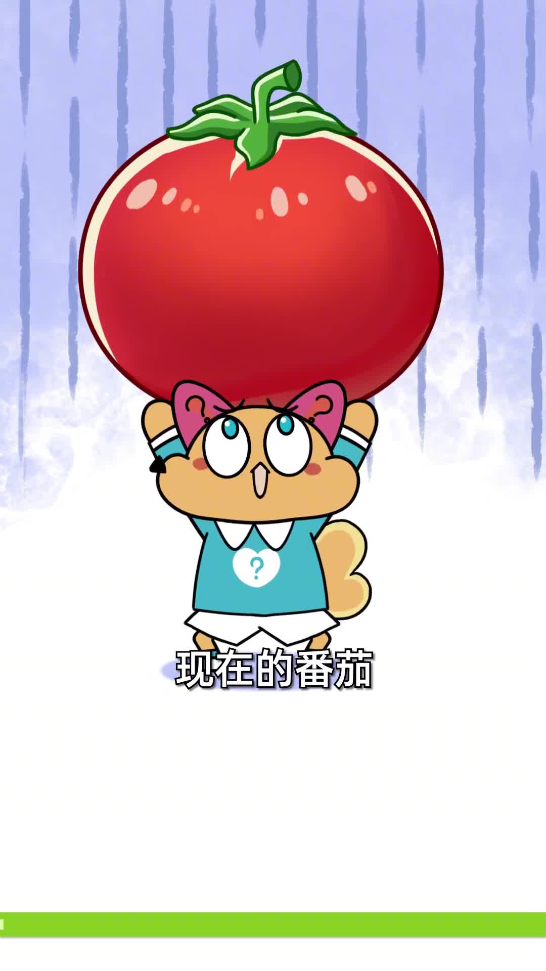 为什么番茄没有以前好吃了