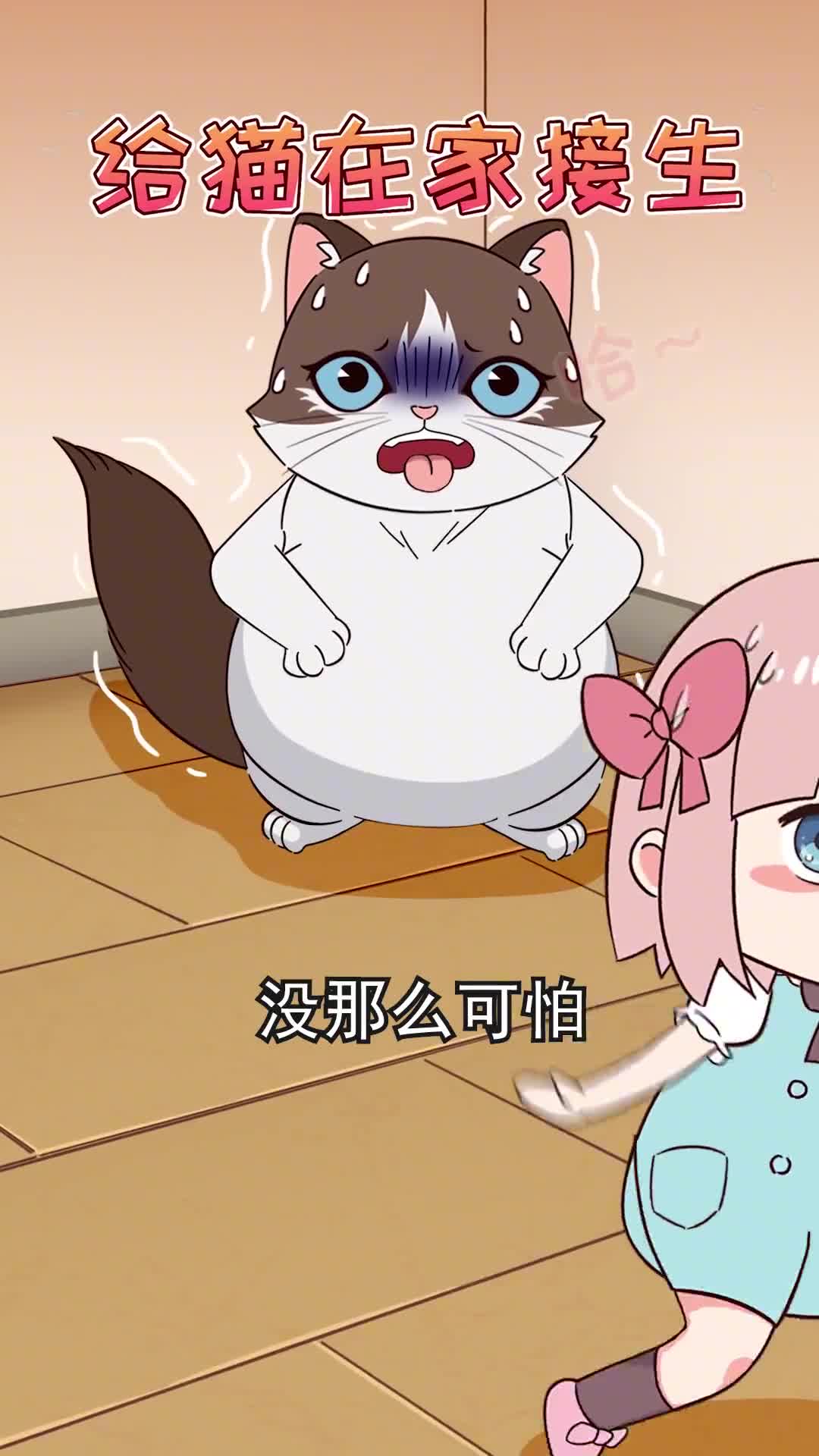 如何在家给猫咪接生收好这份接生指南避免手忙脚乱