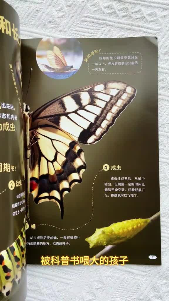 好奇少年儿童百科好奇少年儿童百科紧贴小学教材的