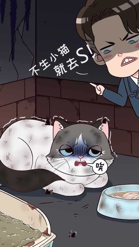 要么生小猫要么si后院猫到底有多惨你真的想象不到