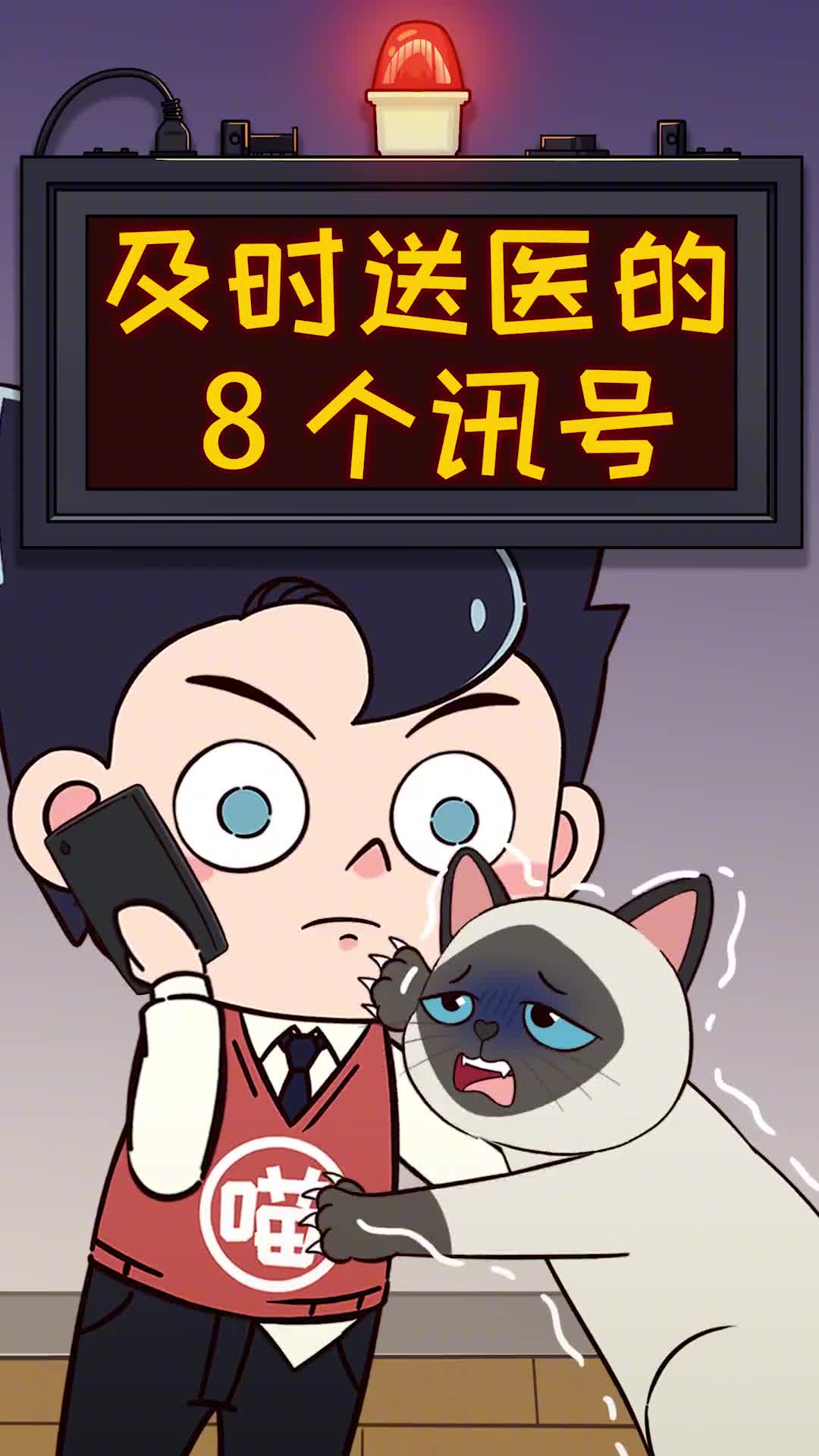 猫咪急需送医的8个信号每个铲屎都要牢记关键时刻救猫命