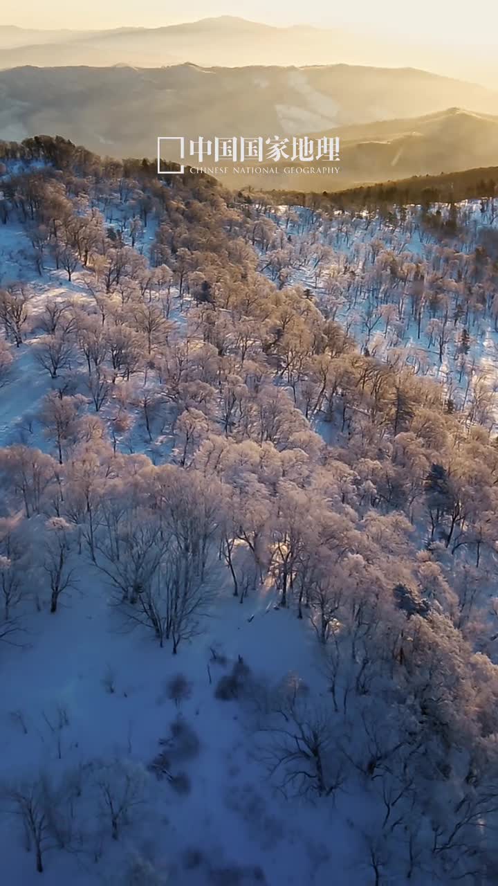 早安愿你一切尽意百事从欢今天是2024年11月17日甲辰年十月十七星期日生活没有标准答案每个人都有自己的注脚全力以赴不负时光早安愿你一切尽意百事从欢