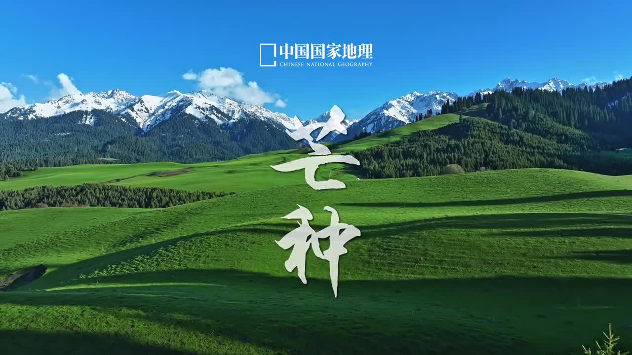 芒种夏熟新耕万木峥嵘时至仲夏风吹麦浪层层翻滚金穗的锋芒恰逢少年人盈收炙热的理想人生勤勉所种必有所得静耘磨砺锋芒铸就荣光