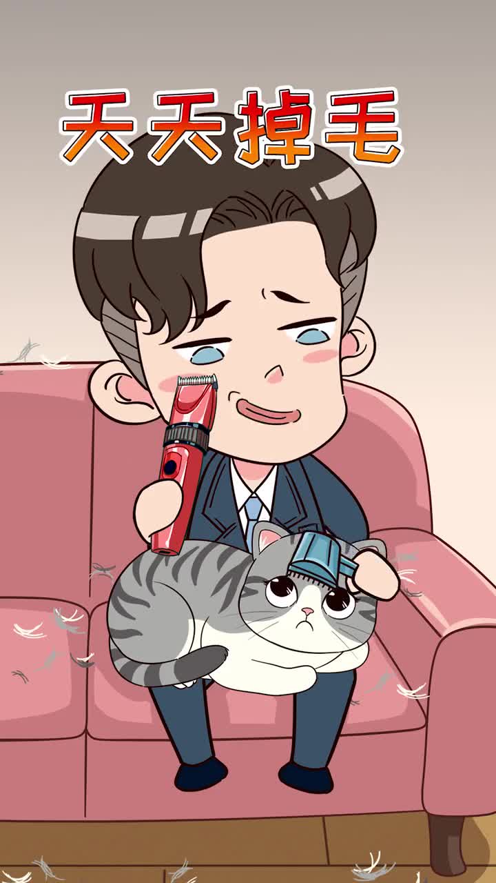 猫咪能不能剃毛对猫咪影响很大不懂可别乱操作哦