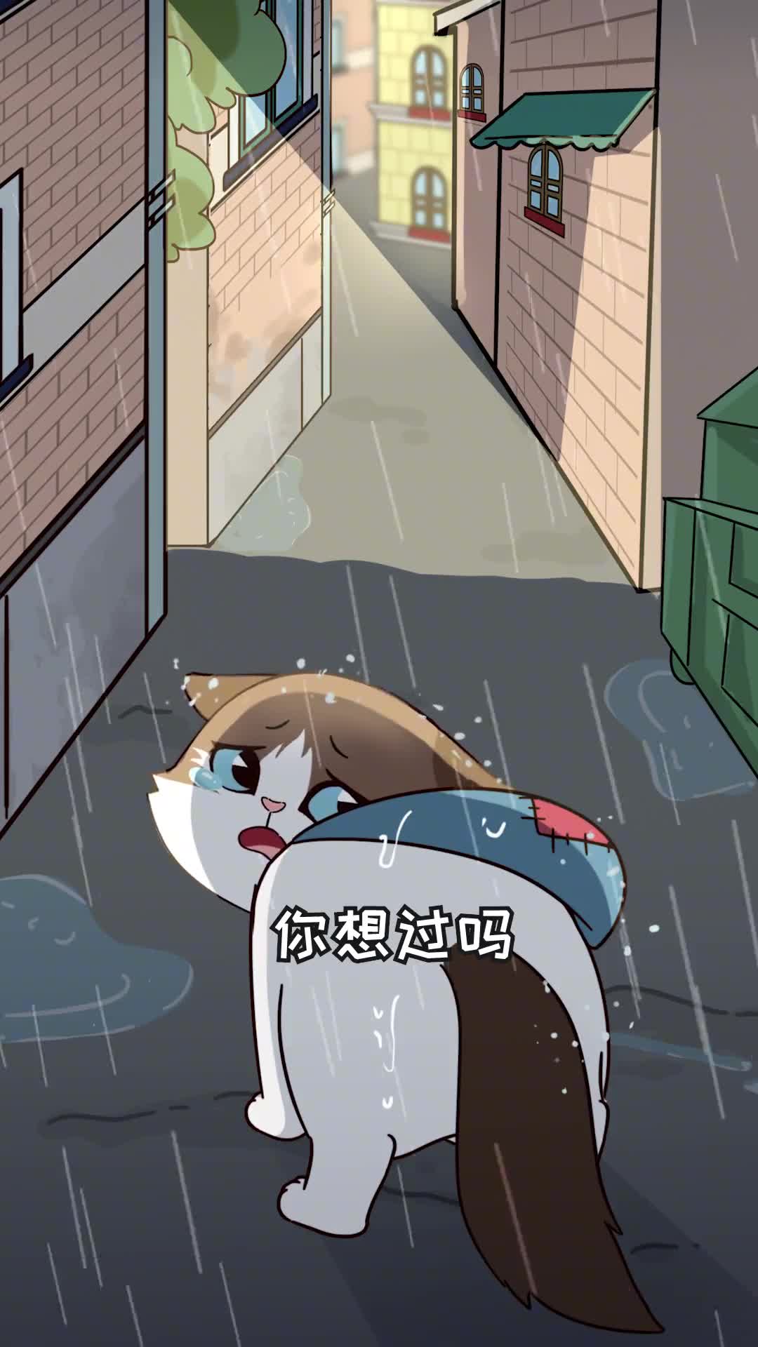 如果你家猫去流浪能活多久时间比你想象的少太多了