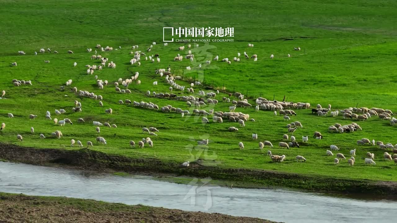 草原的风等自由的人微风卷起层层翠浪清澈曲流蜿蜒回转这里是内蒙古兴安盟的乌兰毛都草原明媚盛夏万物并秀收拾行囊草原远行随牛羊闲怡漫步与飞鸟比翼追风草原会接纳每一个洒脱的灵魂此刻请放逐一切烦恼拥抱辽阔天地吧