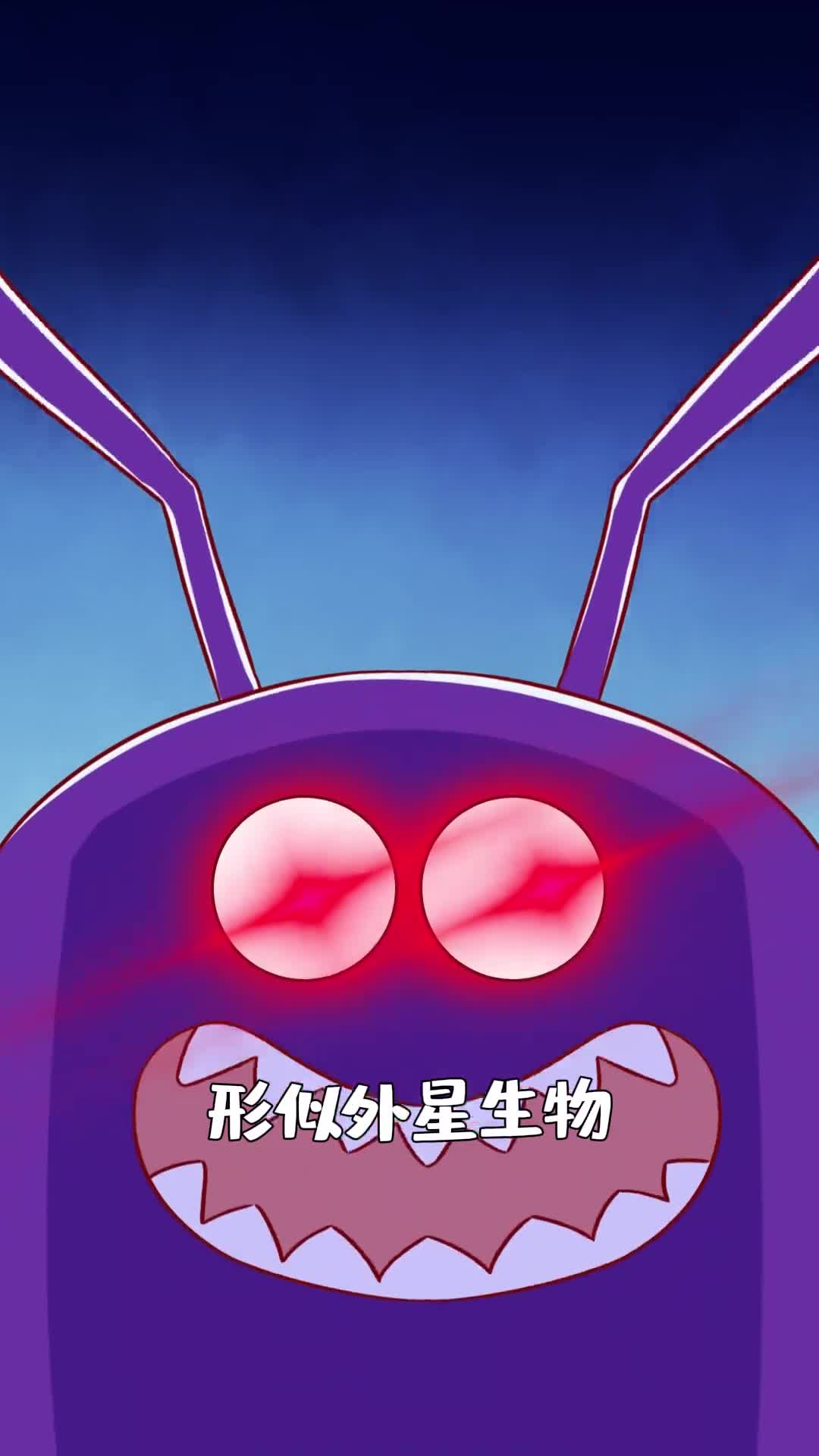 长的丑吃腐食还在深海为啥还是被人类吃