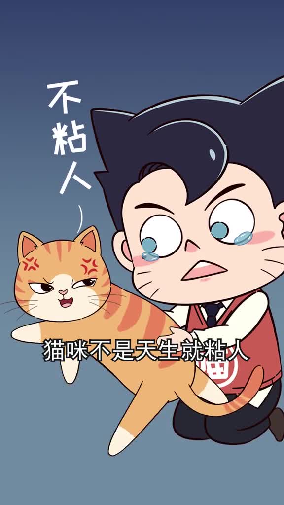 想让猫化身粘人精学会这3招再高冷的主子也会变成撒娇狂魔
