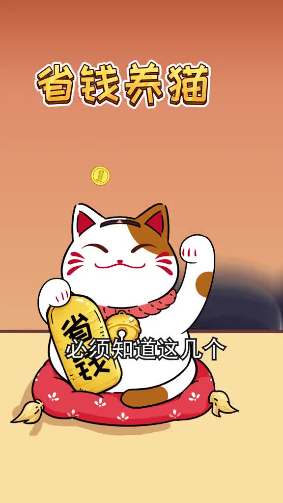 想要省钱养猫一定要知道这些平替好物建议收藏