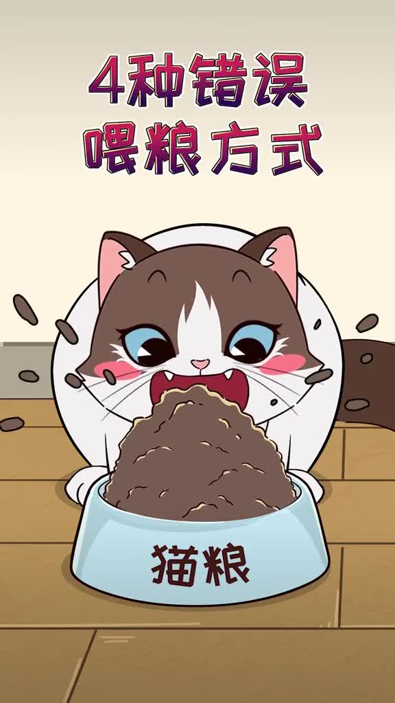 4种错误的喂粮方式影响猫咪消化你犯过几个