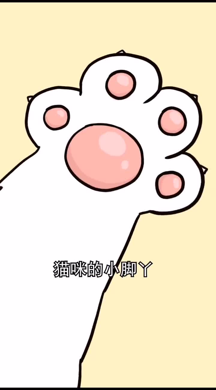 不同猫爪竟然代表不同性格你家猫咪是什么性格