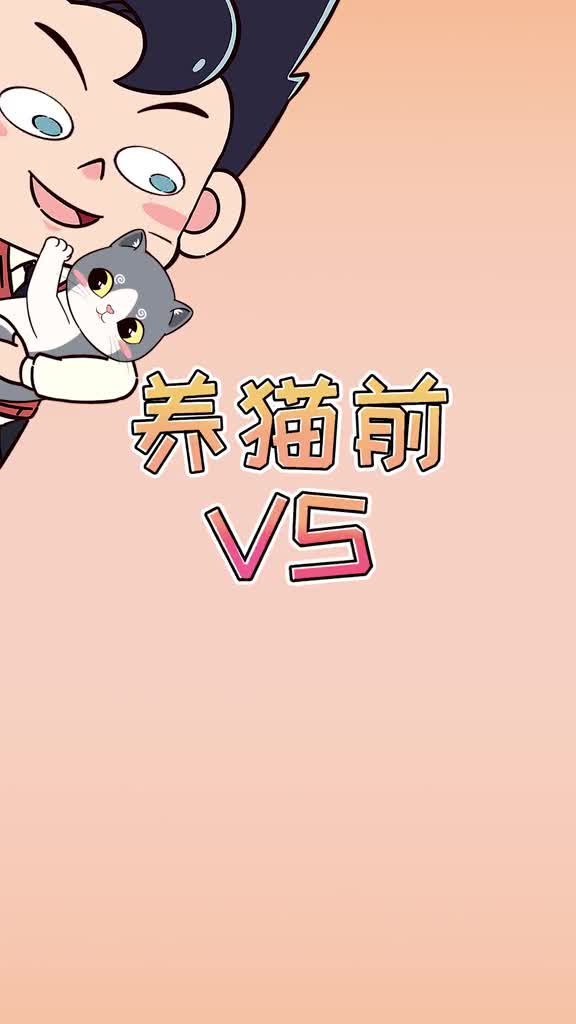 养猫前vs养猫后太真实了吧