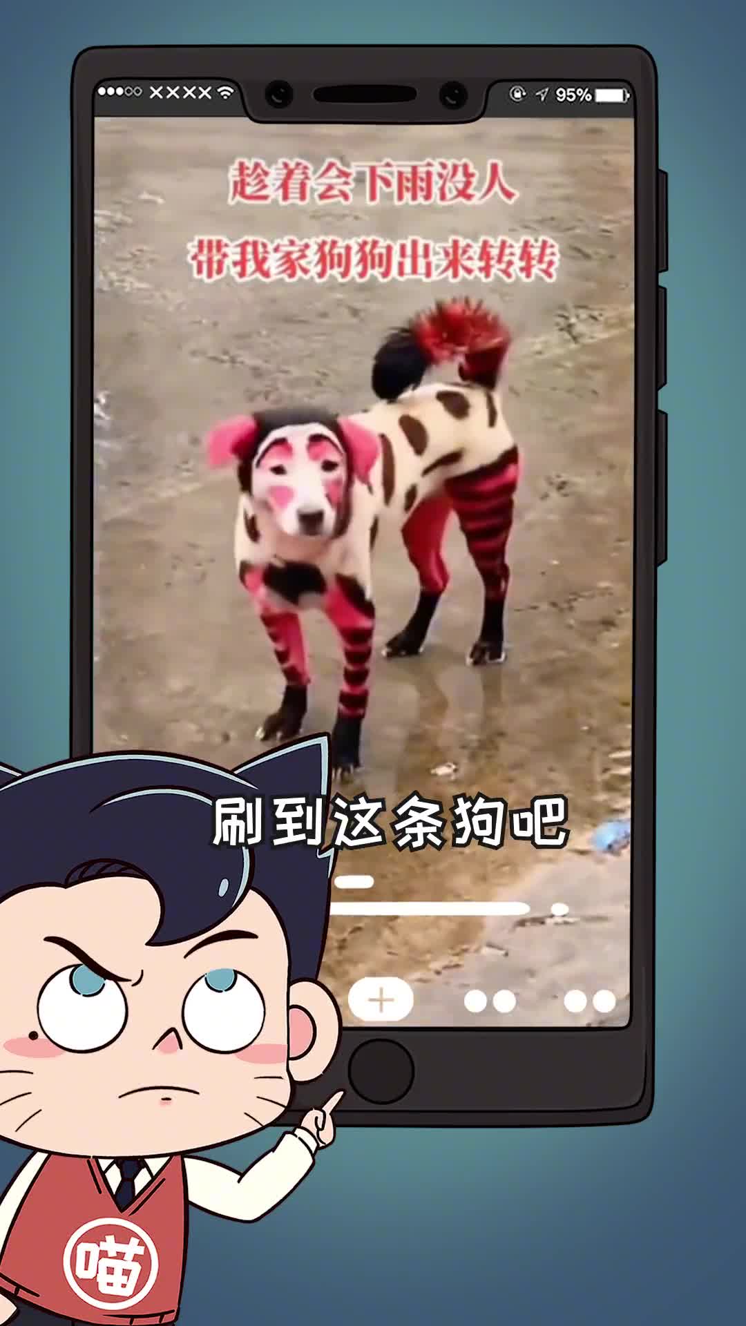 为了博眼球给猫咪染色求求别害猫啦