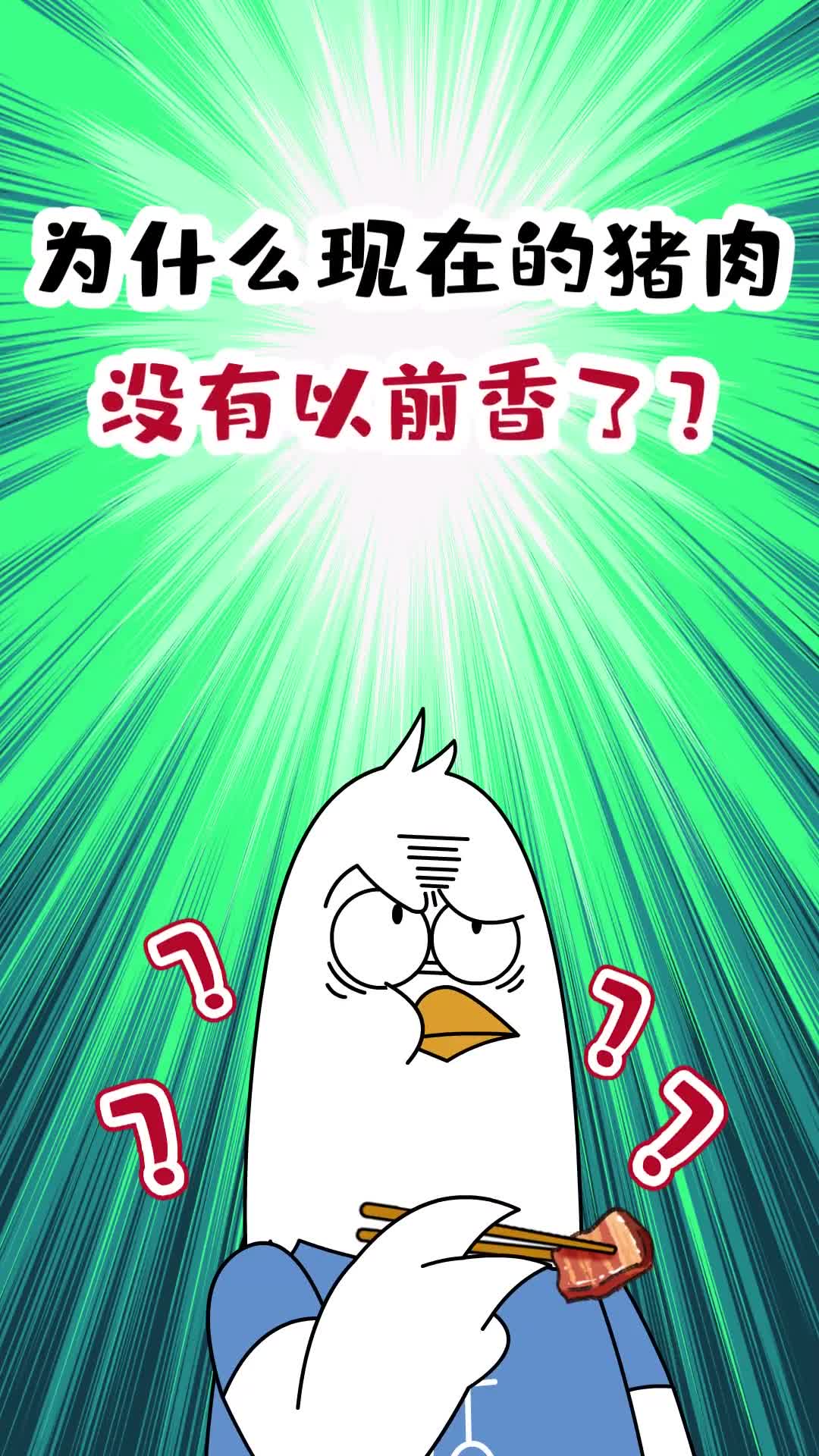 为什么现在的猪肉没有以前香了哩