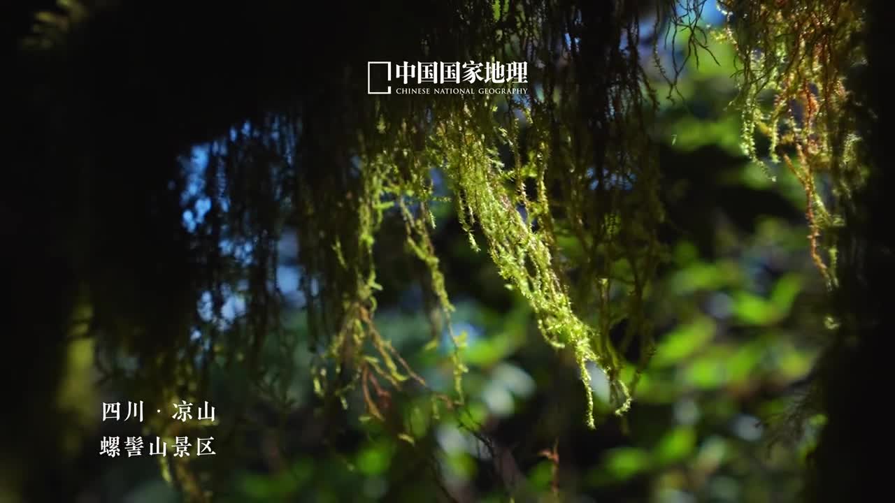 螺髻山到底藏着多少惊喜螺髻山地处四川省凉山彝族自治州境内这片第四纪古冰川遗迹深藏于横断山脉紧紧依偎在青藏高原旁边在自然的眷顾下四季宜人这里炎夏不燥群山之间散落着冰川湖泊森林之下构筑起动植物王国弥漫清凉之意涌动自然生机这里凛冬不寒坐拥世界最大温泉瀑布冬日来临便会上演冰与火冷与暖之歌雾气蒸腾萦绕温暖又惬意中国国家地理2024年度凉山州影像大赛正在火热进行中期待通过您的视角看见更为全面生动的大美凉山