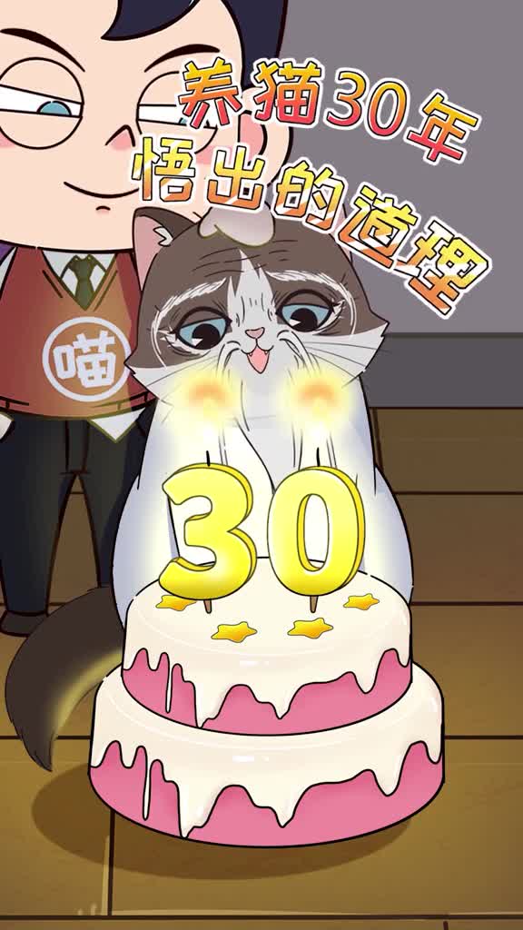 养猫30年才能悟出的硬道理你现在知道几个