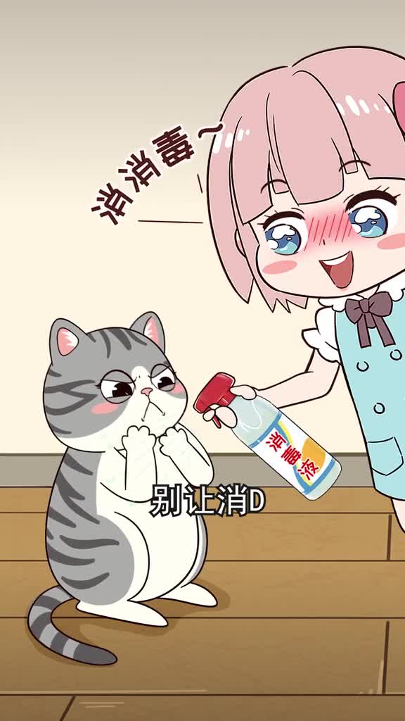 养猫后消毒太重要啦但你知道哪种消毒液更安全吗