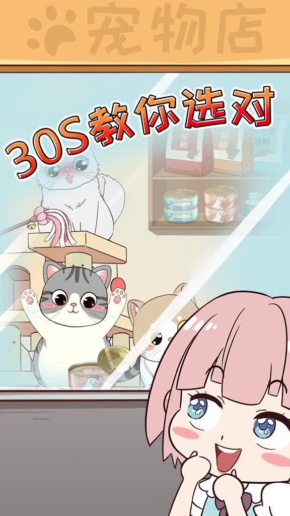 30秒教你选对常见品种猫的品相和价格快看看你选对了没