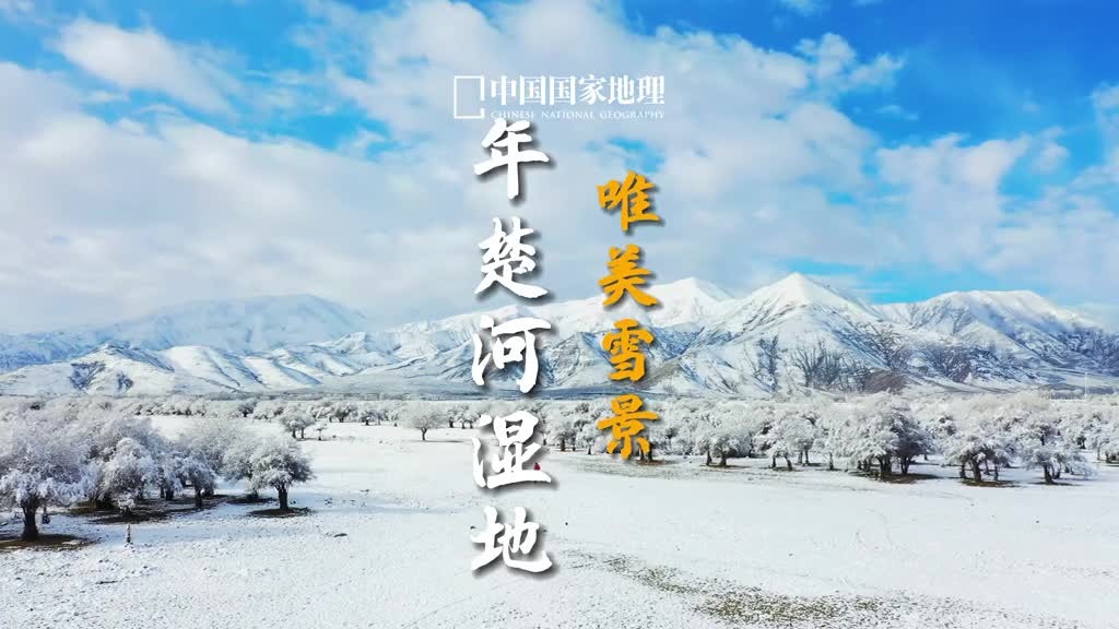晨起开门雪满山雪晴云淡日光寒