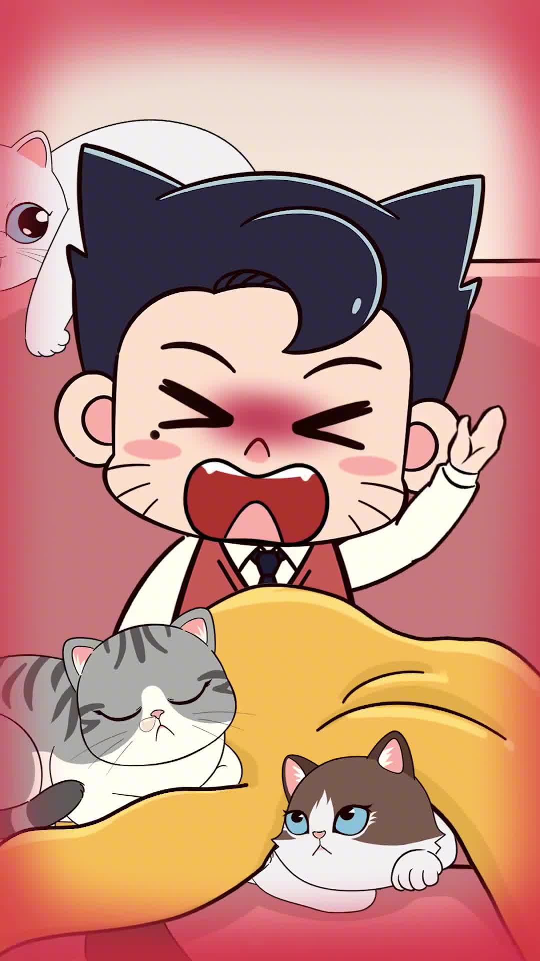 养猫6年才知道的5个实用养猫妙招超简单快学起来吧