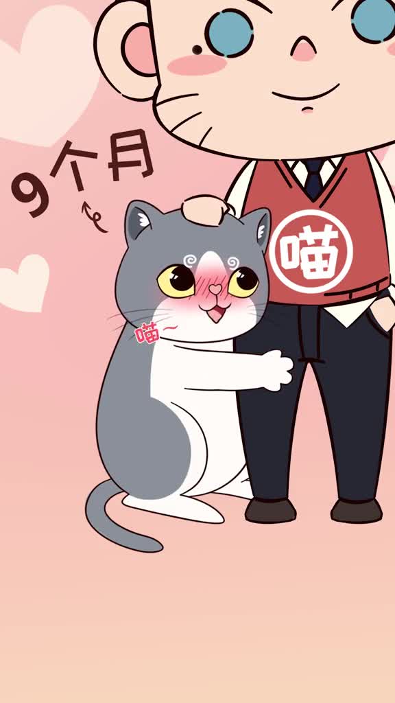 猫咪认主的4种行为你家猫中了几个