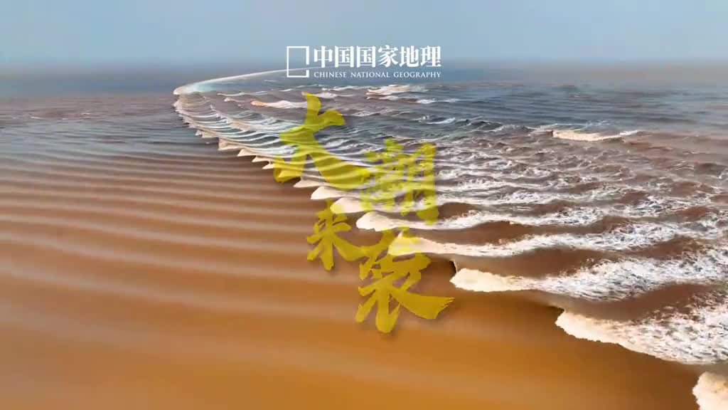 震撼30秒钱塘江大潮气势磅礴蔚为壮观有时是温文尔雅有时汹涌澎湃后浪推前浪形成一排排浪花犹如万马奔腾浩浩荡荡地飞奔而来发出山崩地裂的巨响恰似在战场上勇士们正挥戈上阵势不可挡