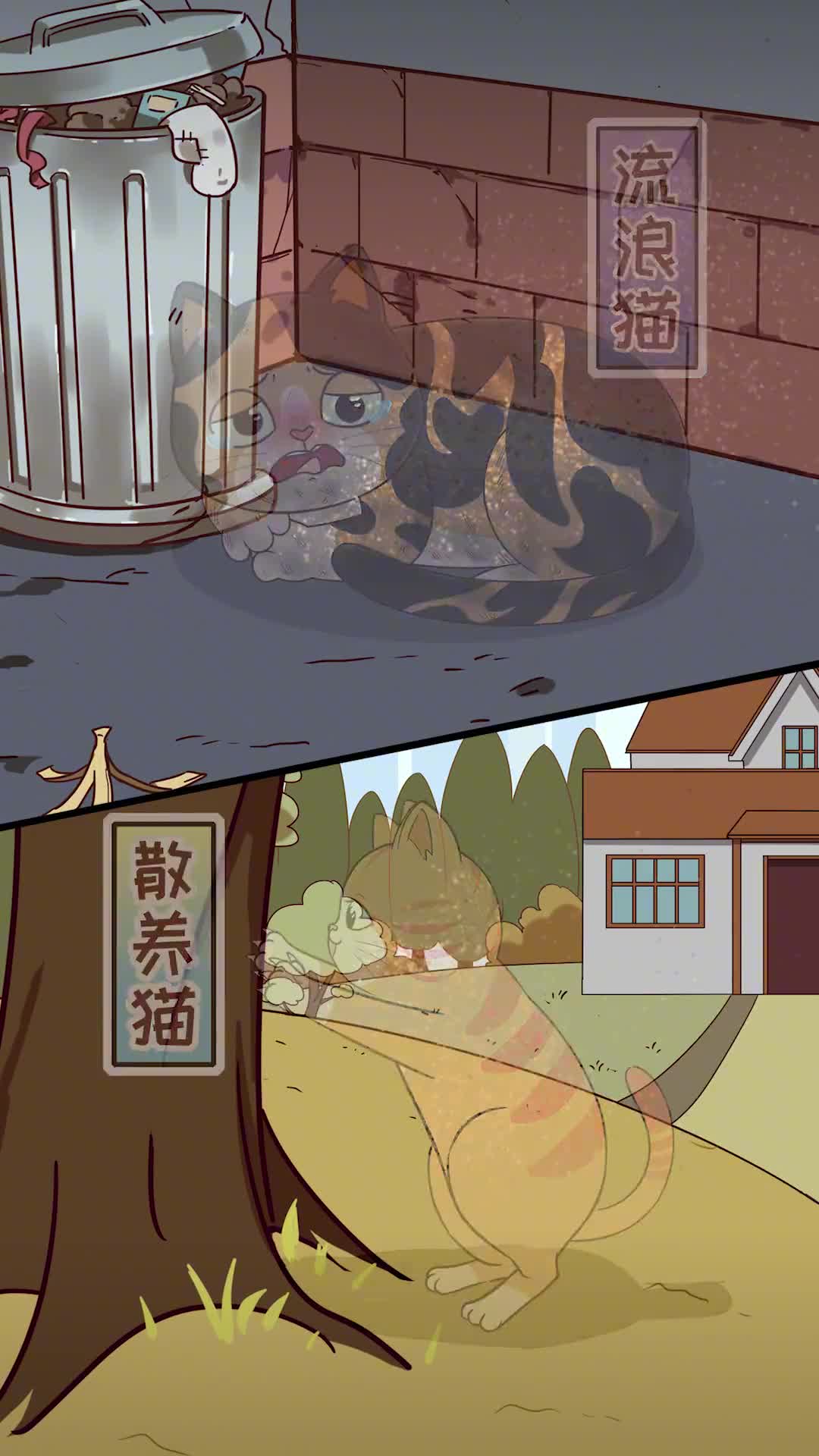 消失的流浪猫散养猫都去哪了真相可比走丢残忍多了